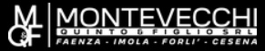 Montevecchi Auto - Forlì